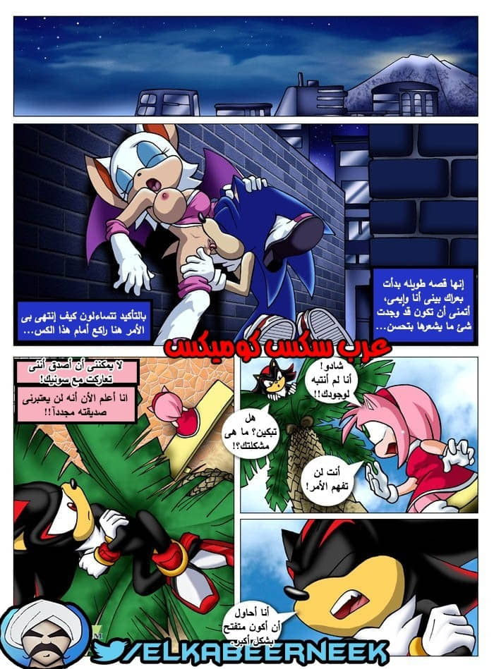 315 سونيك والبحث عن إيمى 315 سونيك والبحث عن إيمى