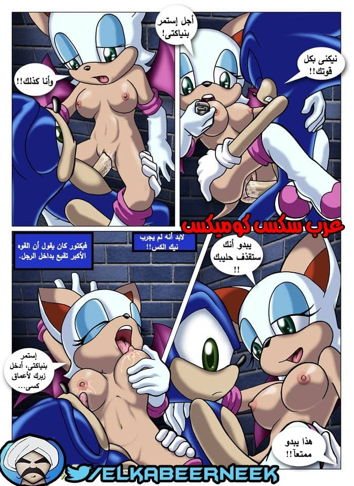 315 سونيك والبحث عن إيمى 315 سونيك والبحث عن إيمى